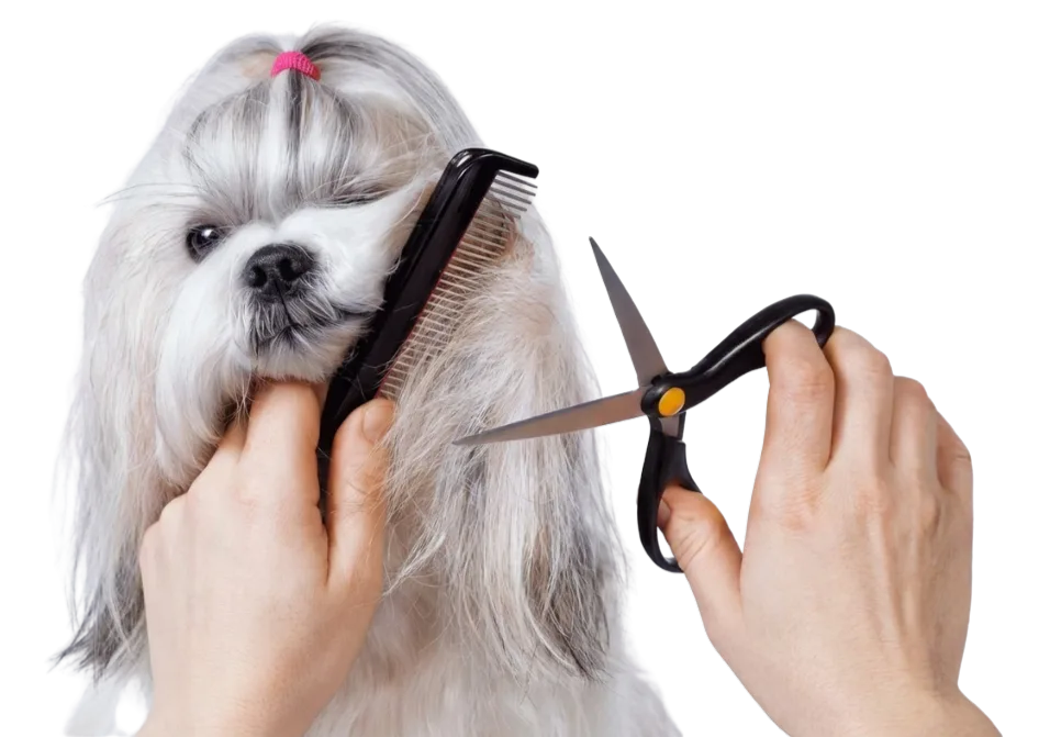 Pet Grooming - Dog Grooming - Gulf Hills Pet Care