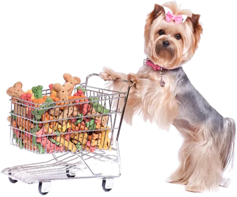 Shop Page - Shop - Gulf Hills Pet Care